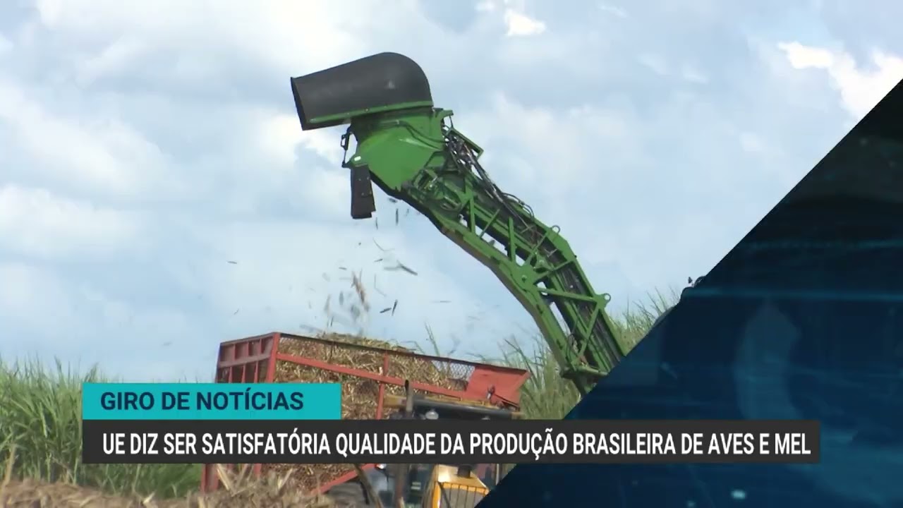 UE diz ser satisfatória qualidade da produção brasileira de aves e mel | Giro de notícias