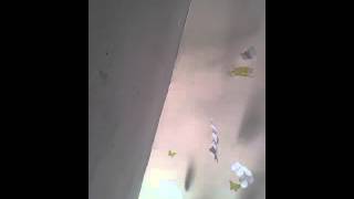 Wash Me Away -Point of Grace