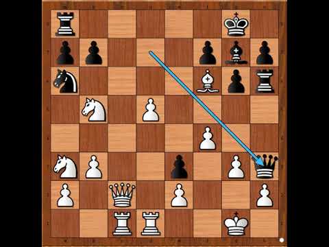 Trenutak nepažnje je dovoljan da se izgubi partija ■ FIRMIAN vs RISTIĆ # 1898