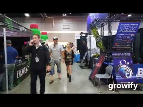 Portland - Indo Expo - 2017