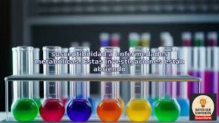 Conoce dos hipótesis interesantes con atención científica sobre la inteligencia artificial.