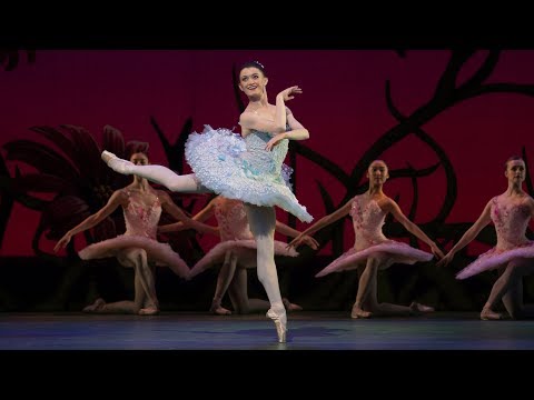Don Quixote – Cupid Variation (Anna Rose O'Sullivan, The Royal Ballet)