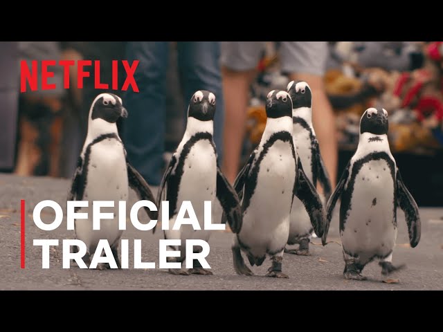 LIST: Animal documentaries to watch on Netflix