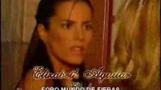 MUNDO DE FIERAS ENTRADA