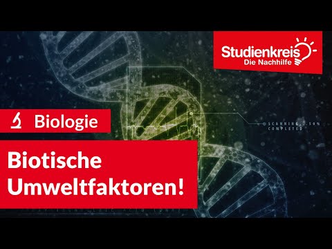 Biotische Umweltfaktoren! | Biologie verstehen mit dem Studienkreis