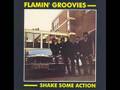 Flamin Groovies - Shake Some Action 