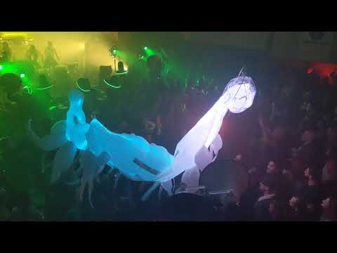 Itchy-O at Jello Biafra Alternative Tentacles 40th anniversary Cornerstone Berkeley 11/23/19 live