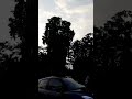 Dil Ki Girah Khol Do Shorts Viral Rataurdin Latamangeshkar Mannadey Shankarjaikishan Nature