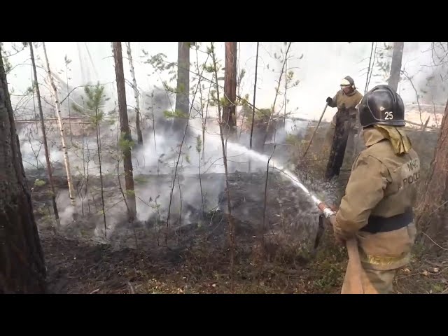 Бодайбо и близлежащие поселки заволокло дымом от лесных пожаров