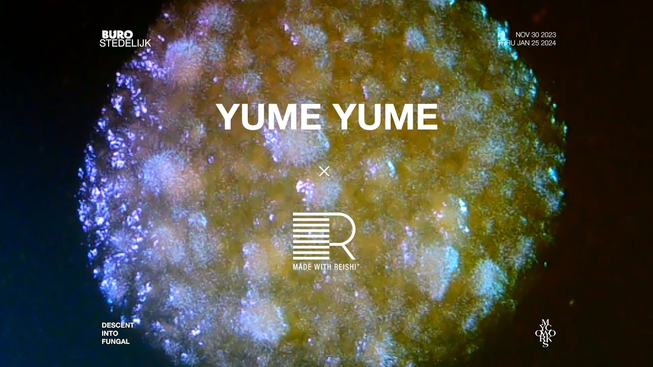Exhibition Teasers