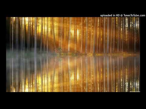 Ambrosial - Sunshift (Adymus Remix)