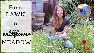 Download lagu I Planted A Wildflower Meadow 🌼🐝🦋| Amazing Lawn Transformation | From Seeds to Blooms mp3