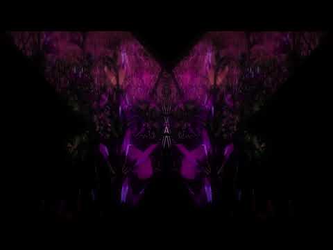 Brad Majors - Spitfire Project [Music Video] 🔥