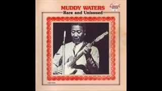 Muddy Waters,Where's My Woman Been