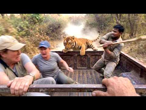 60 MOMENTOS INCREÍBLES EN LOS SAFARIS CAPTADOS POR LAS CÁMARAS