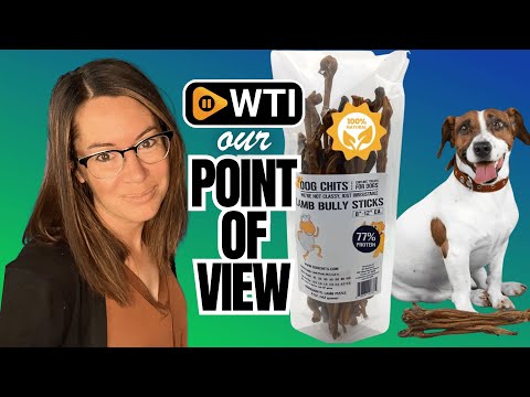 Dog Chits Lamb Bully Sticks for Dogs and Puppies | 8 oz (12 Pieces+) | Natural Healthy Long Lasting Chew for Large and Small Dogs Protein Treats | Odor Free Lamb Bully Sticks (Pizzle) - WTI product video review