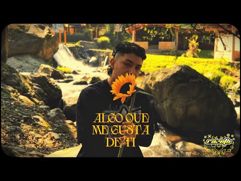 Razeth - ALGO QUE ME GUSTA DE TI 🌻 (Video Oficial)