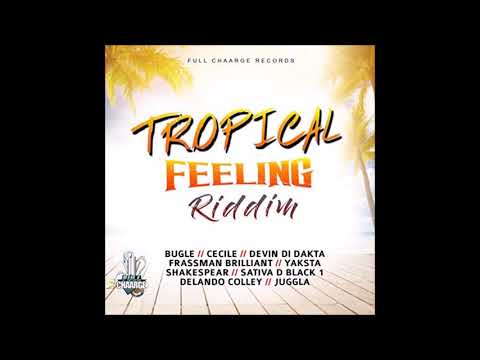 Frassman Brilliant - Brain Food [Tropical Feeling Riddim 2018]°•BrtH`Bluz [Burhay]