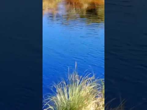 Río Panaholma en Cura Brochero, Traslasierras, Córdoba, Argentina.#curabrochero