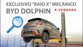 BYD Dolphin - Vai dar dor de cabeça? Avaliação de um mecânico!