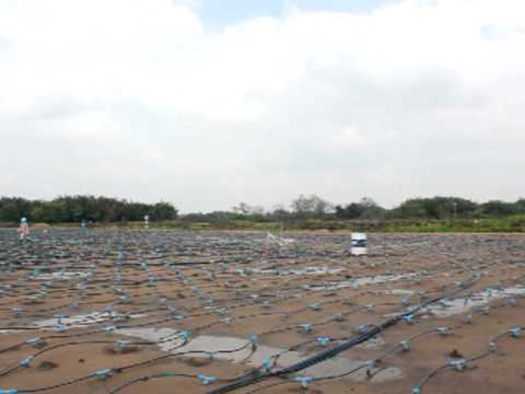 Vacuum consolidation area