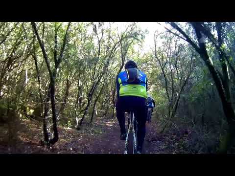 2017-12-01 Por Terras Cistercienses (Sunday Bikes)