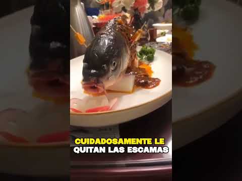 THIS FISH EATS YOU ALIVE #shorts