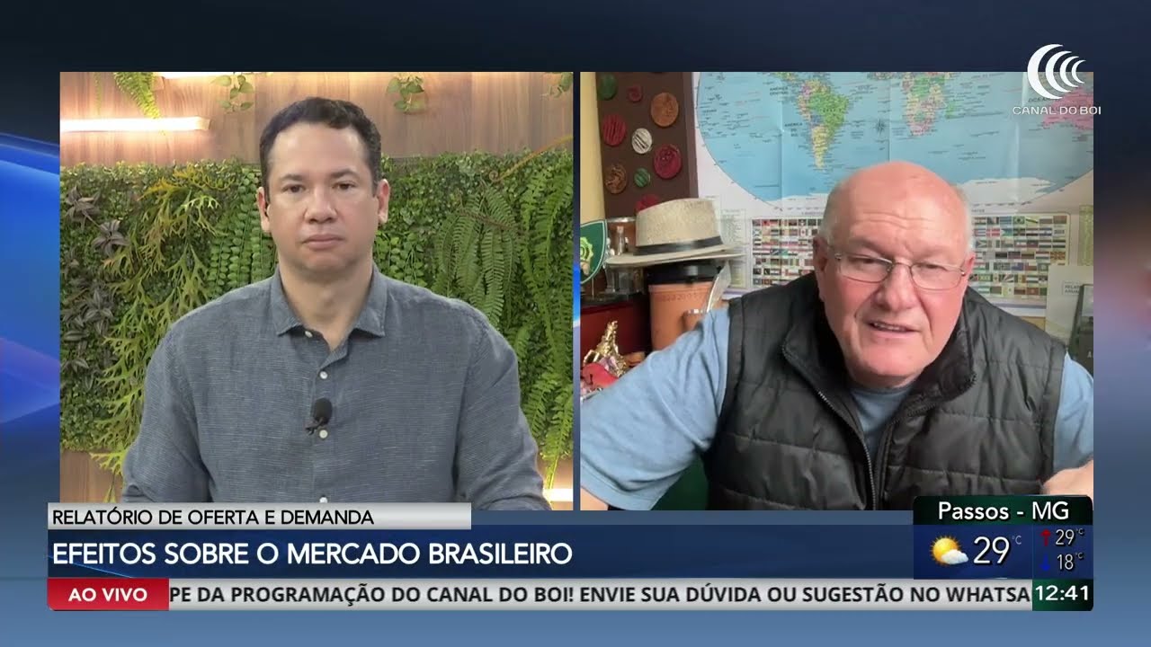 Aumento da oferta americana pressiona cotações do milho no Brasil