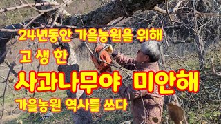 가을농원 사과나무 전지하기전에 간벌