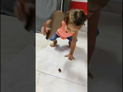cockroach ko kaise bhagaye🤣