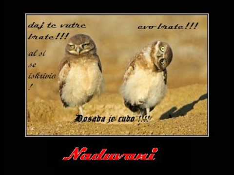 naduvani pajvani-Sta smor uradi od coveka :))