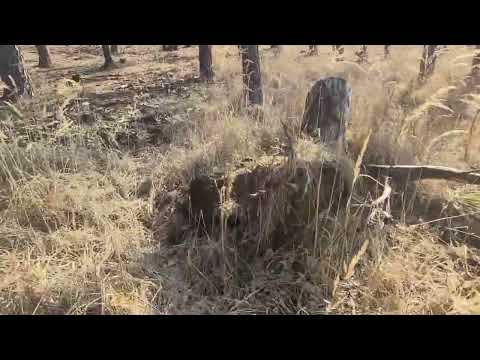 Zrzuty 2026 kontakt wzrokowy