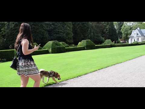 Norrvikens trädgårdar