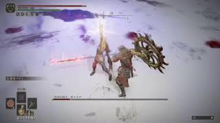 エルデンリングの最適化23