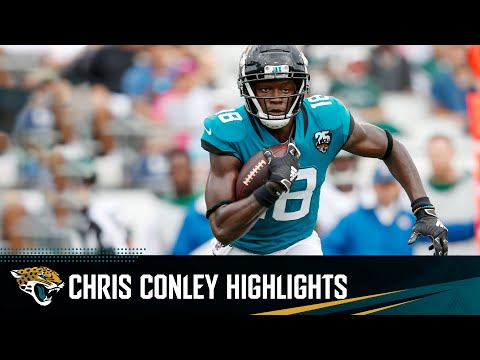 Chris Conley's biggest plays in 2019 | Jaguars Highlights