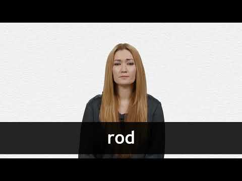 ROD definition in American English