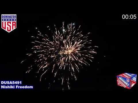 Dominator Fireworks DUSA5491 Nishiki Freedom