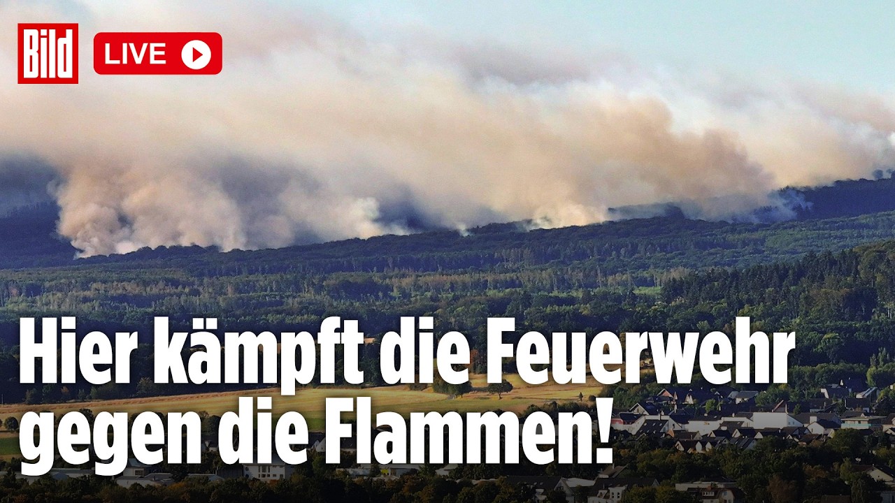 Feuerwalze in NRW: Kampf der Feuerwehr gegen die Flammenhölle in Düren | BILD LIVE