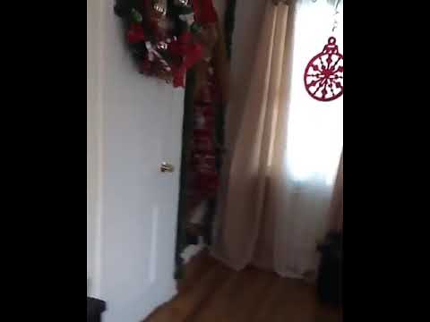 @_hozwal vs @2c.pr Round #DraftFMS2019 (freestyle)