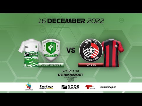 GZV Watergras - VIOS ´79  Samenvatting  - 1ste Divisie