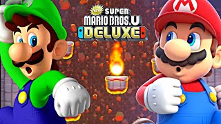 Mario Luigi Firefall Cliffs Peach’s Castle 4 New Super Mario Bros #arjunskingdom