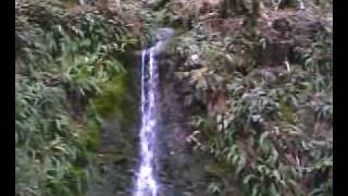 preview picture of video 'Glendalough Waterfall, Ireland'