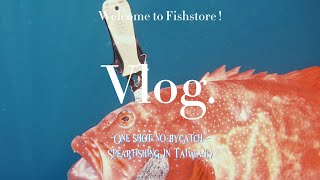【海野人 Spearfishing 】Vlog.鰷 #自由潛水 #漁獵 #打魚 #夢幻魚 #東星斑  #澎湖 #潛打 #趕海 #紅槽 #龍膽 #紅條 #土魠魚 #石鯛 #老鼠班