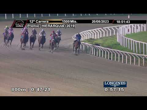 230820 c12 BALA DE ORO