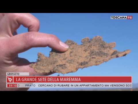 2017-08-10 TG REGIONALE ORE 19.00