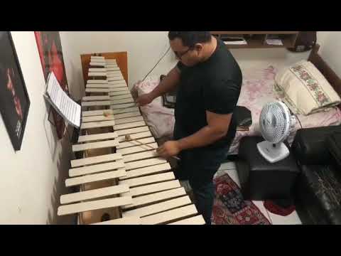 waltz from coppelia/xilophone/Thiago Vieira