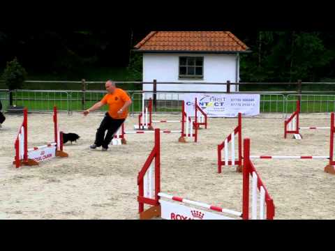 2012-05-19. WAO 2012. Frank Maene and Jaykay. Individual Pentathlon Jumping 2.