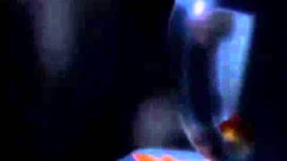 Jayo Felony   Sherm Stick   1994