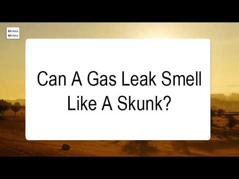 Can A Gas Leak Smell Like A Skunk