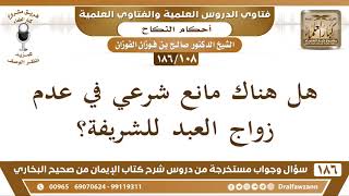 [108 /186] هل هناك مانع شرعي في عدم زواج العبد للشريفة؟ الشيخ صالح الفوزان image